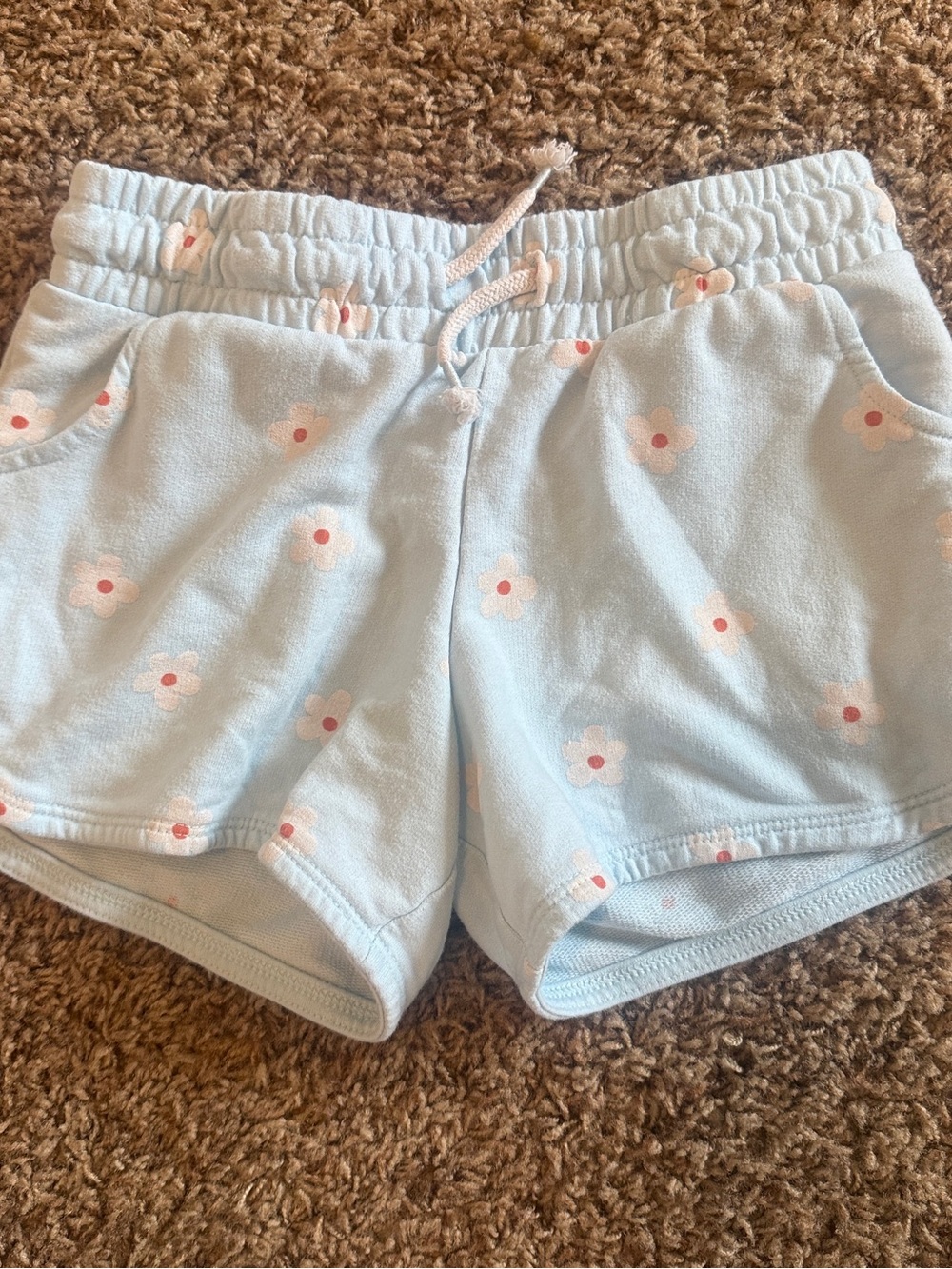 Cat & Jack Light Blue Floral Knit Shorts